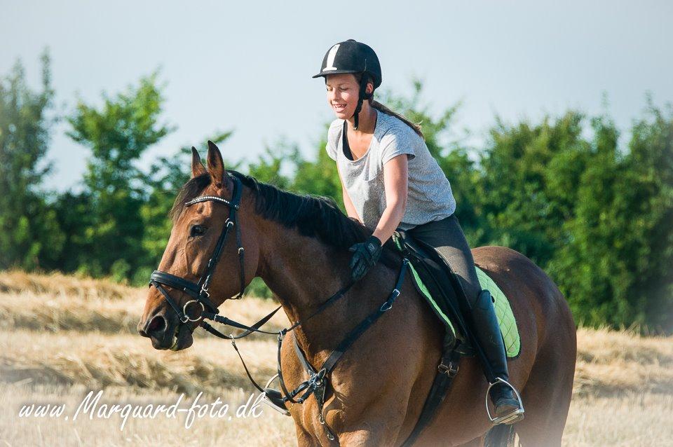 Anden særlig race Contess - Sommer 14 billede 8