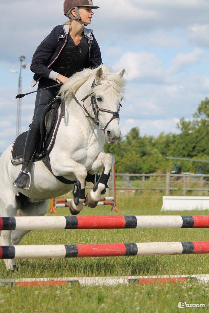 Anden særlig race Truska billede 30