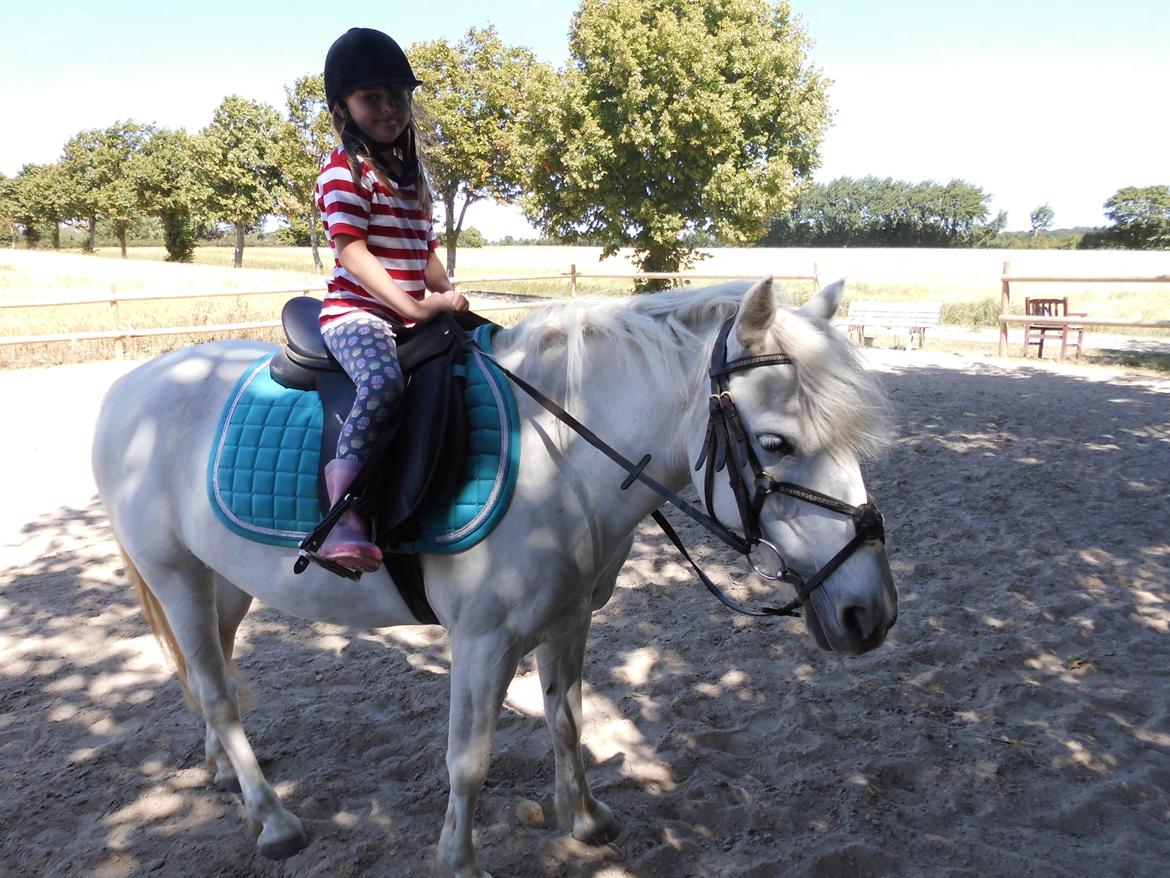 Anden særlig race Truska billede 31
