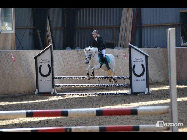 Anden særlig race Truska billede 36