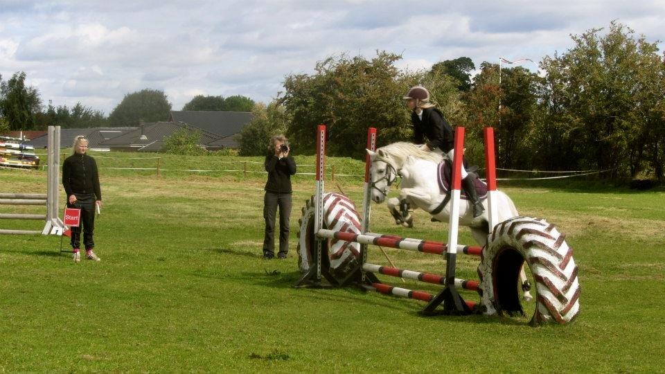 Anden særlig race Truska billede 37