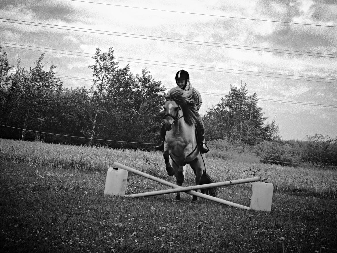 Anden særlig race Freja (mit et og alt)<3 - opvisning for min storebrors venner fra efterskolen <3 ;)lad vær med at tæl hver time men sørg for at hver time tæller!!<3 billede 2