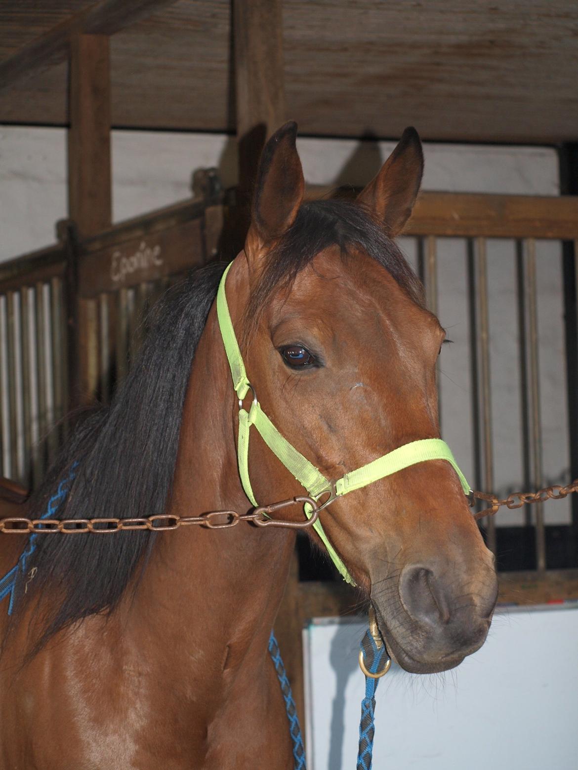 Traver O. Jensen billede 1