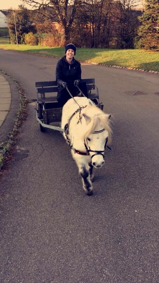 Dansk Miniature Mynte - Vores aller første tur sammen på Fyn <3 billede 10