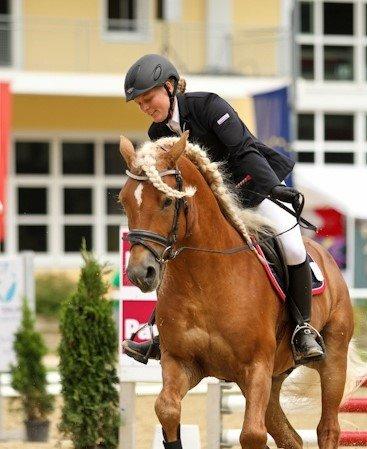 Haflinger Nordan - EM 2012 billede 2
