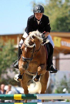 Haflinger Nordan - EM 2012 billede 6