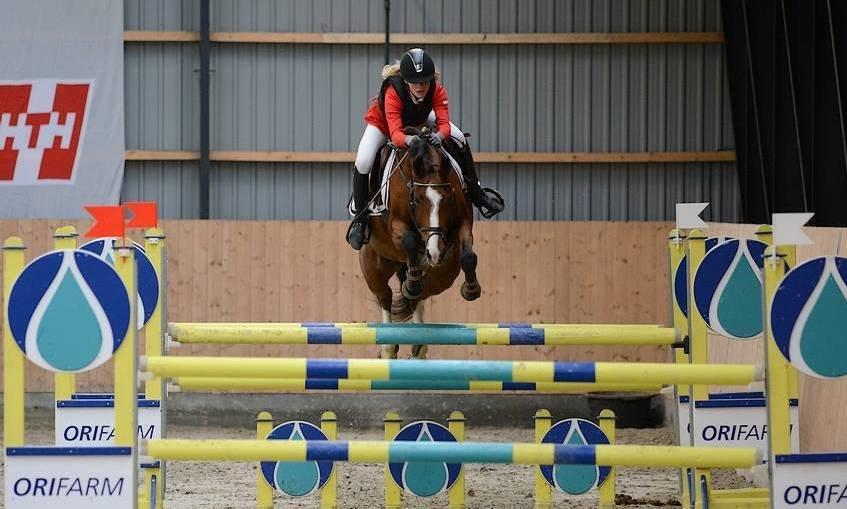 Dansk Varmblod VERONA HS - Esbjerg Rideklub LA2** 120 cm billede 13