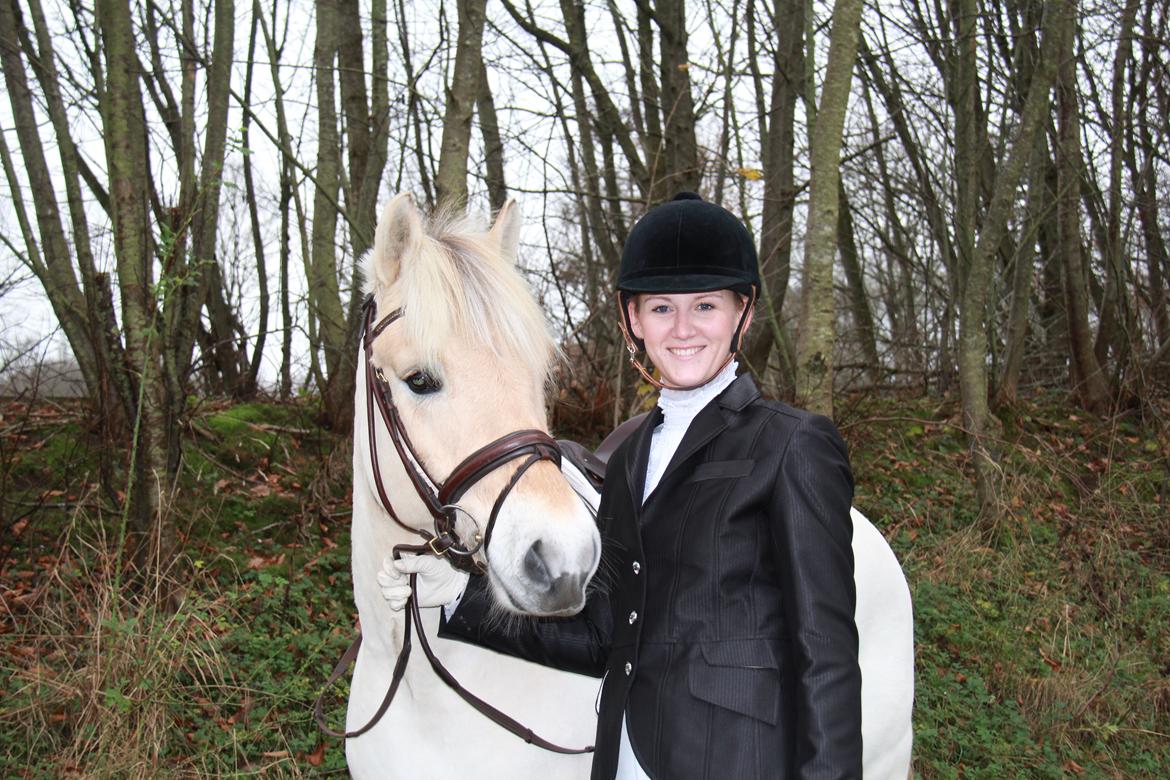 Fjordhest Rocco Vårby billede 9