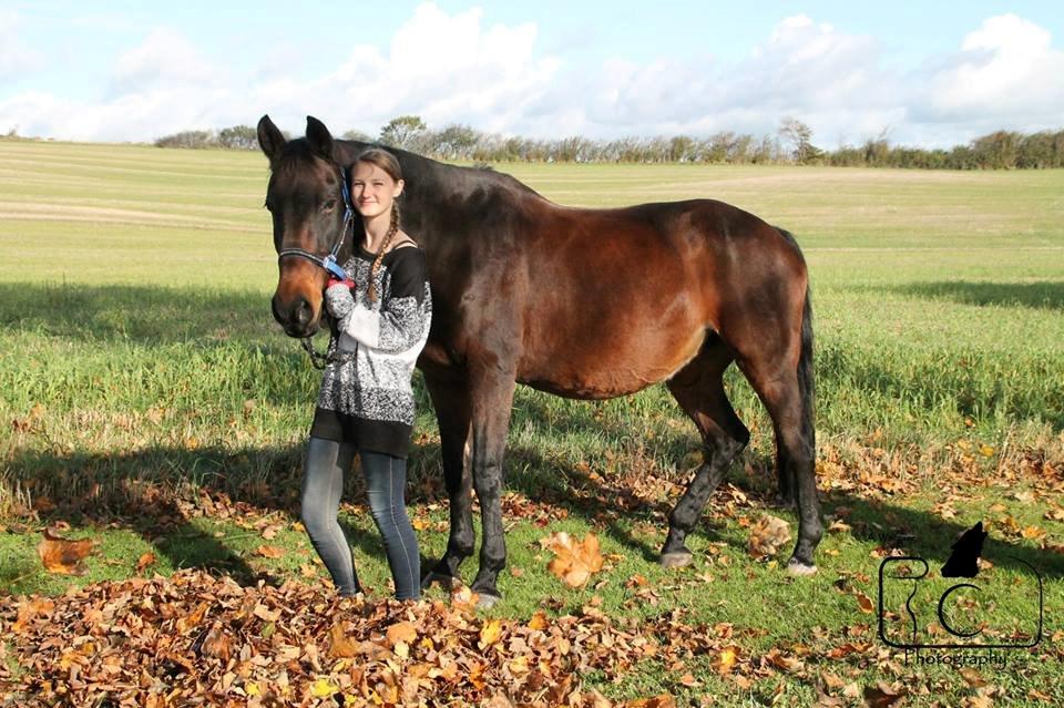 Dansk Varmblod Sabine Esperanza - Fall - because just like the leafes, I'm falling for you <3 billede 17