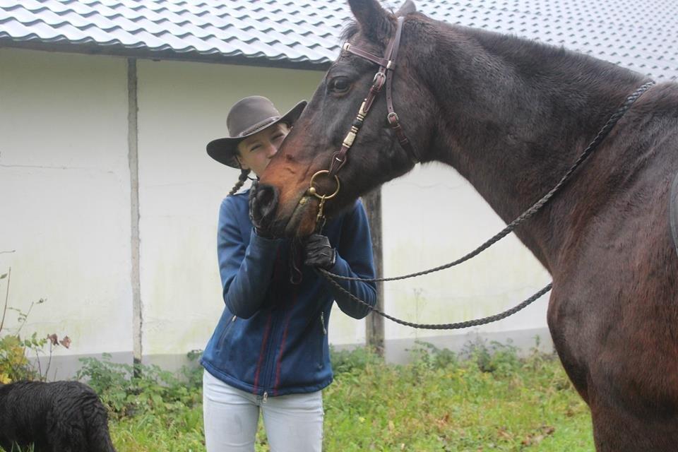 Dansk Varmblod Sabine Esperanza billede 14