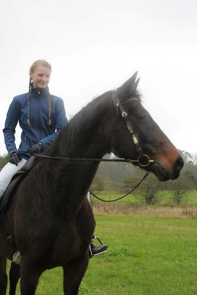 Dansk Varmblod Sabine Esperanza billede 18