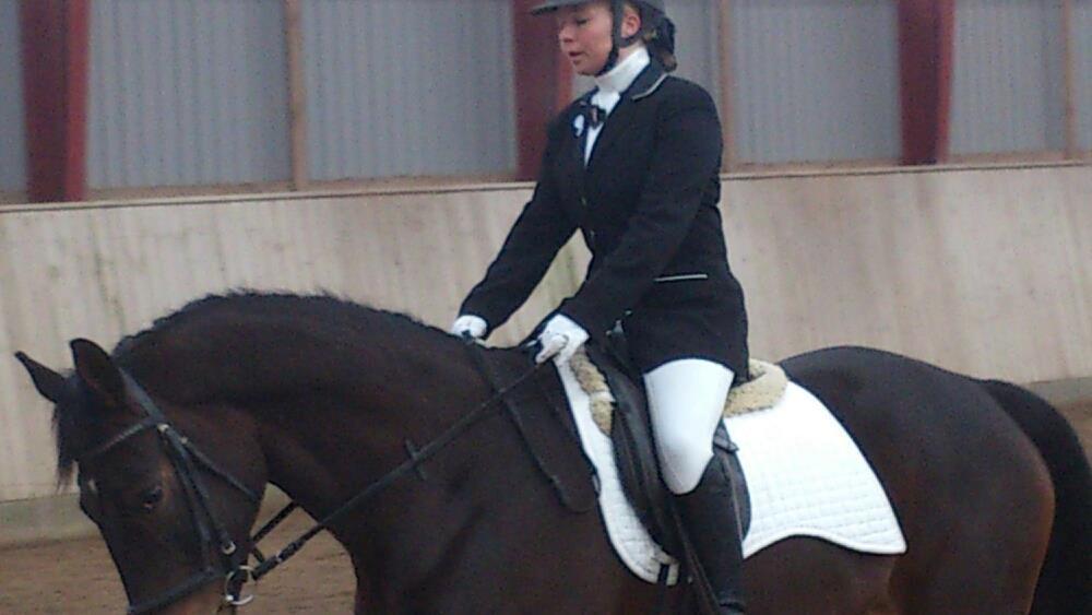 Dansk Varmblod Østerhyldigs Snowdancer billede 18