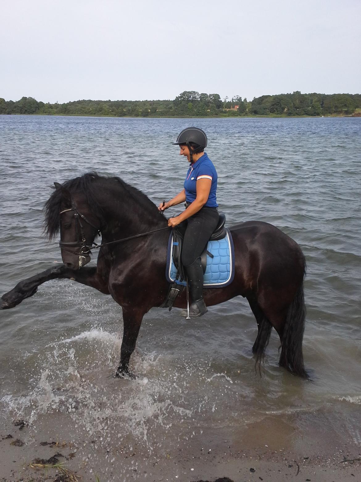 Frieser Alegro Ellemose  billede 8