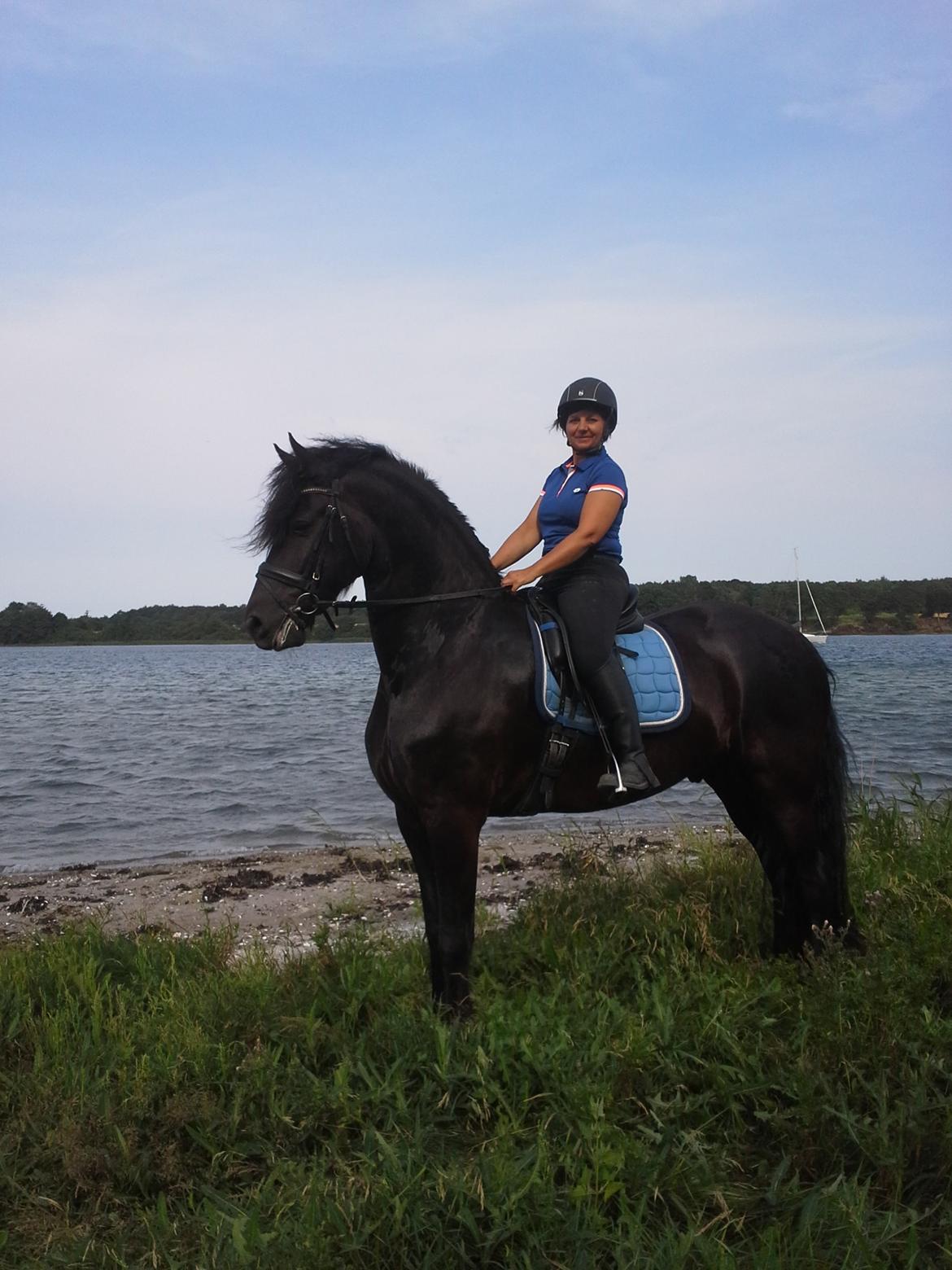 Frieser Alegro Ellemose  billede 12