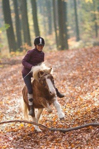 Anden særlig race Putte billede 10