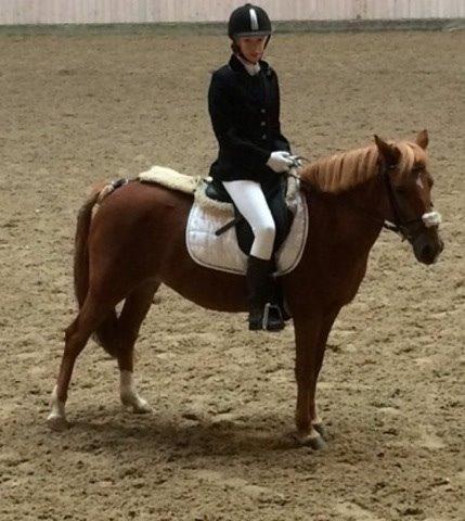 Anden særlig race Mellody billede 2