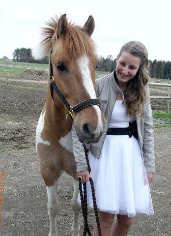 Anden særlig race Felix billede 6