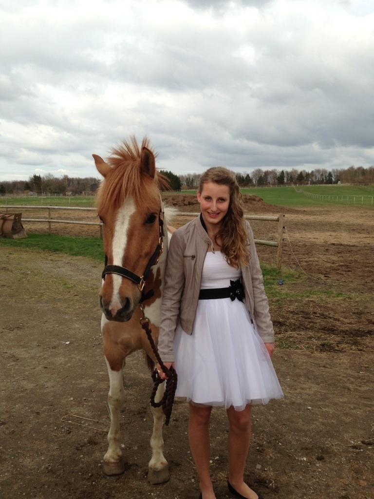 Anden særlig race Felix billede 4