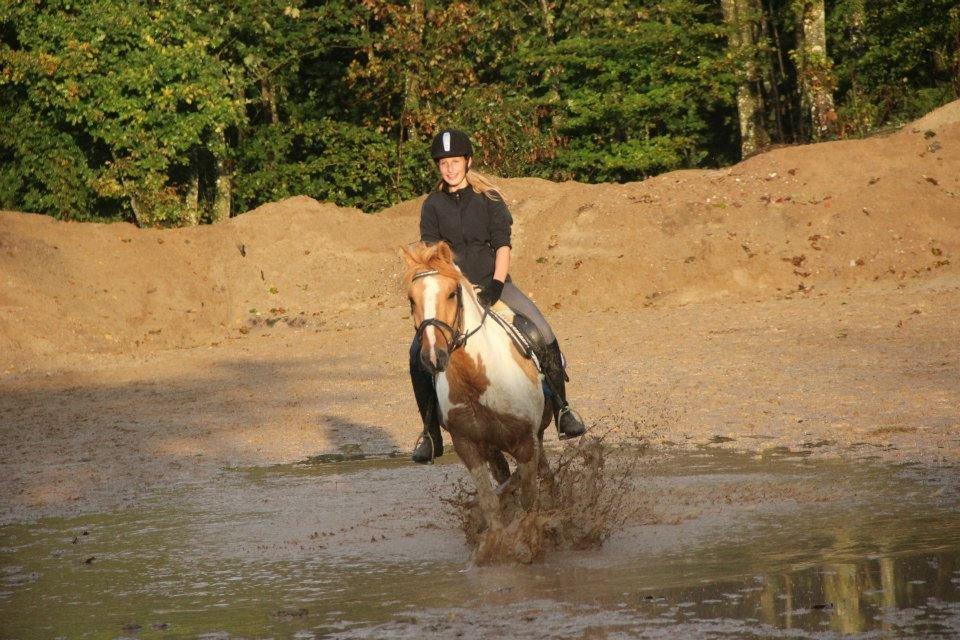 Anden særlig race Felix billede 12