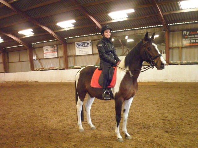 Anden særlig race Refsgaards Mon´Cheri. SOLGT billede 3