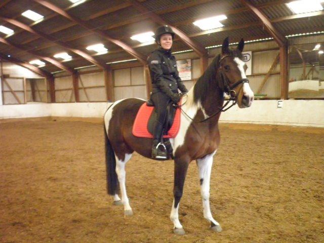 Anden særlig race Refsgaards Mon´Cheri. SOLGT billede 4