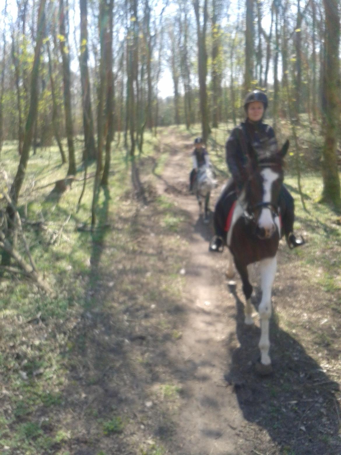 Anden særlig race Refsgaards Mon´Cheri. SOLGT billede 6