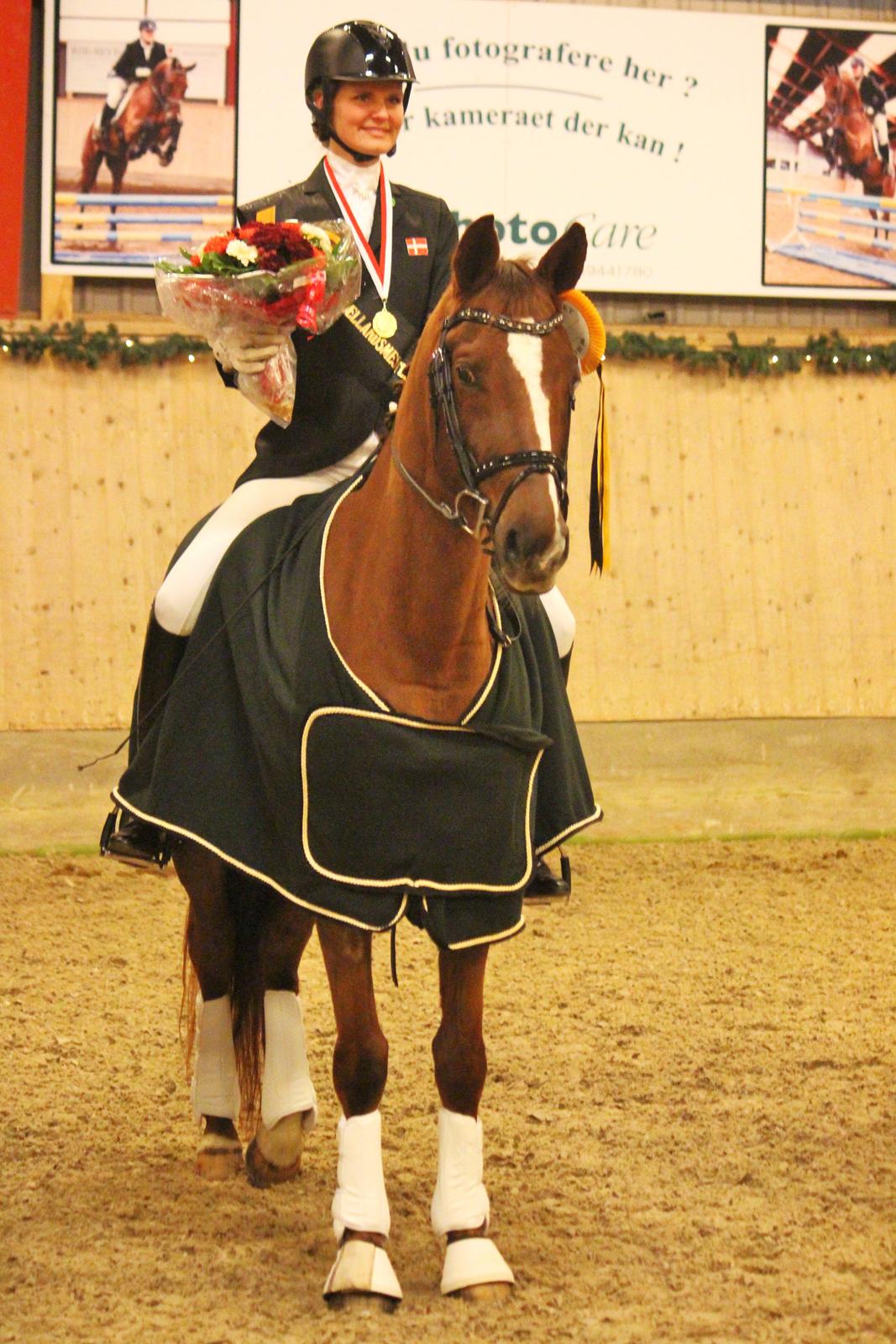Trakehner Catwalk billede 14