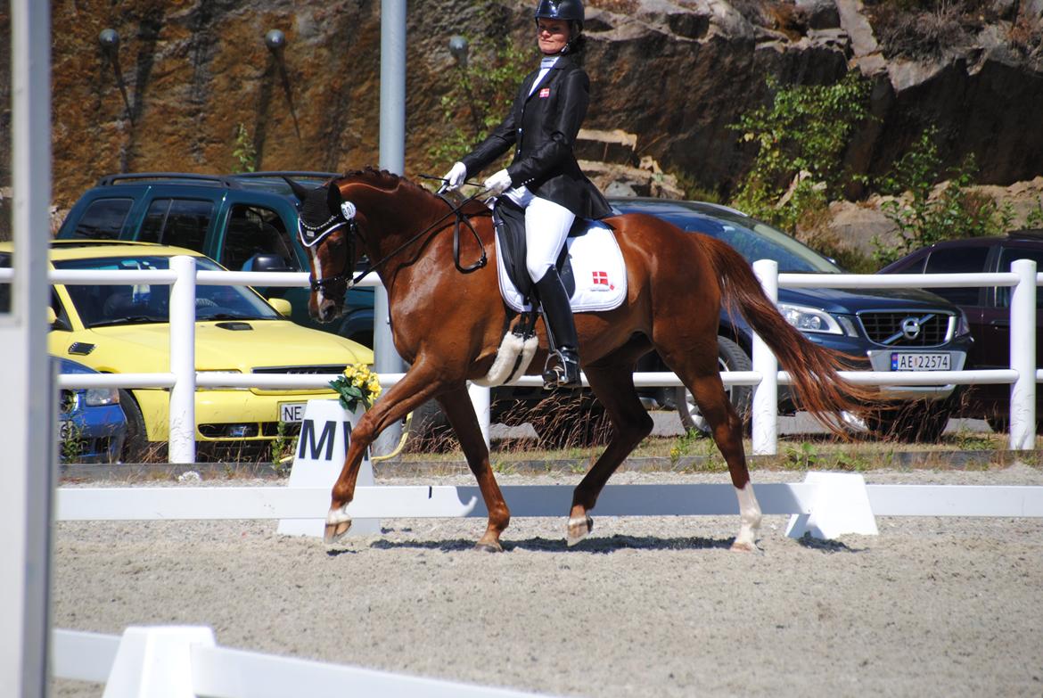 Trakehner Catwalk billede 9