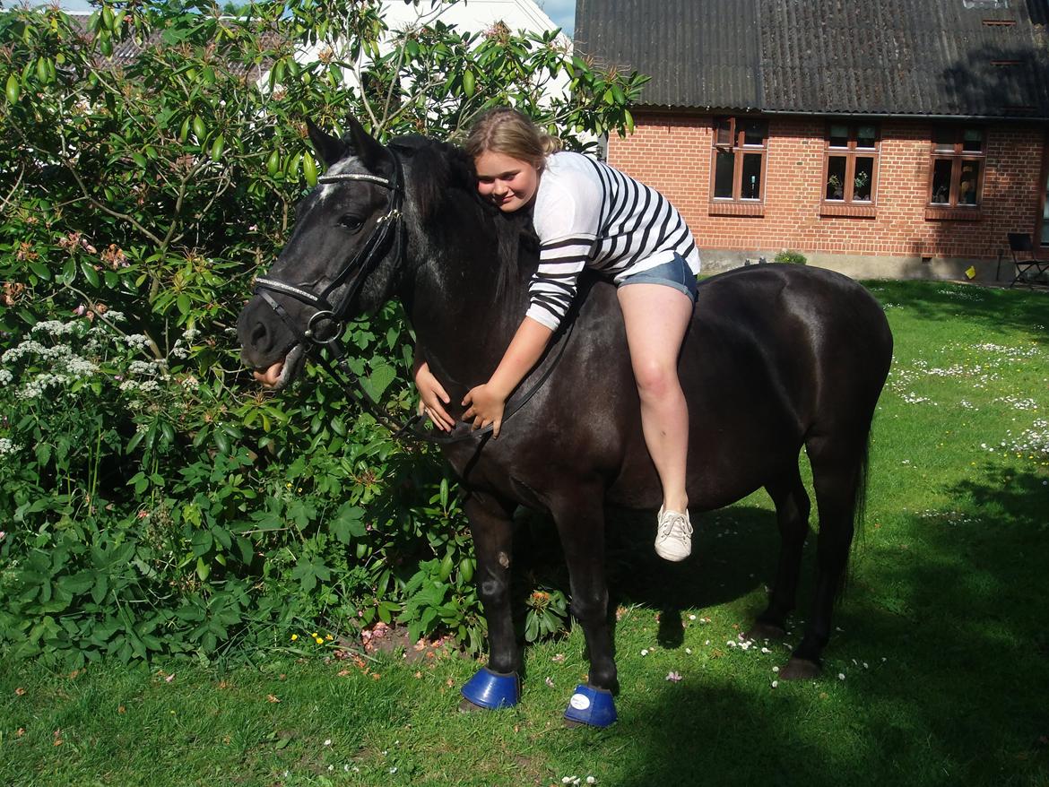 Anden særlig race Lukas billede 4