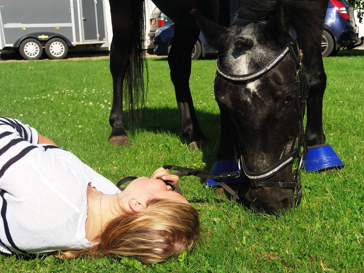 Anden særlig race Lukas billede 1