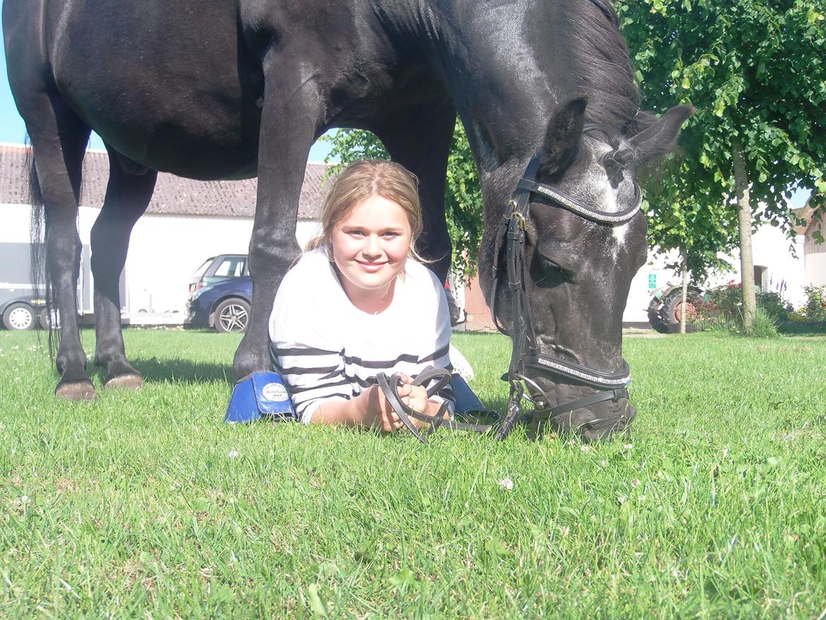 Anden særlig race Lukas billede 6