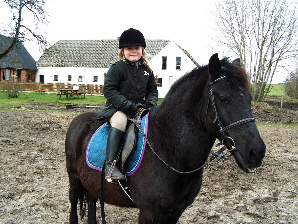 Anden særlig race Lukas billede 11