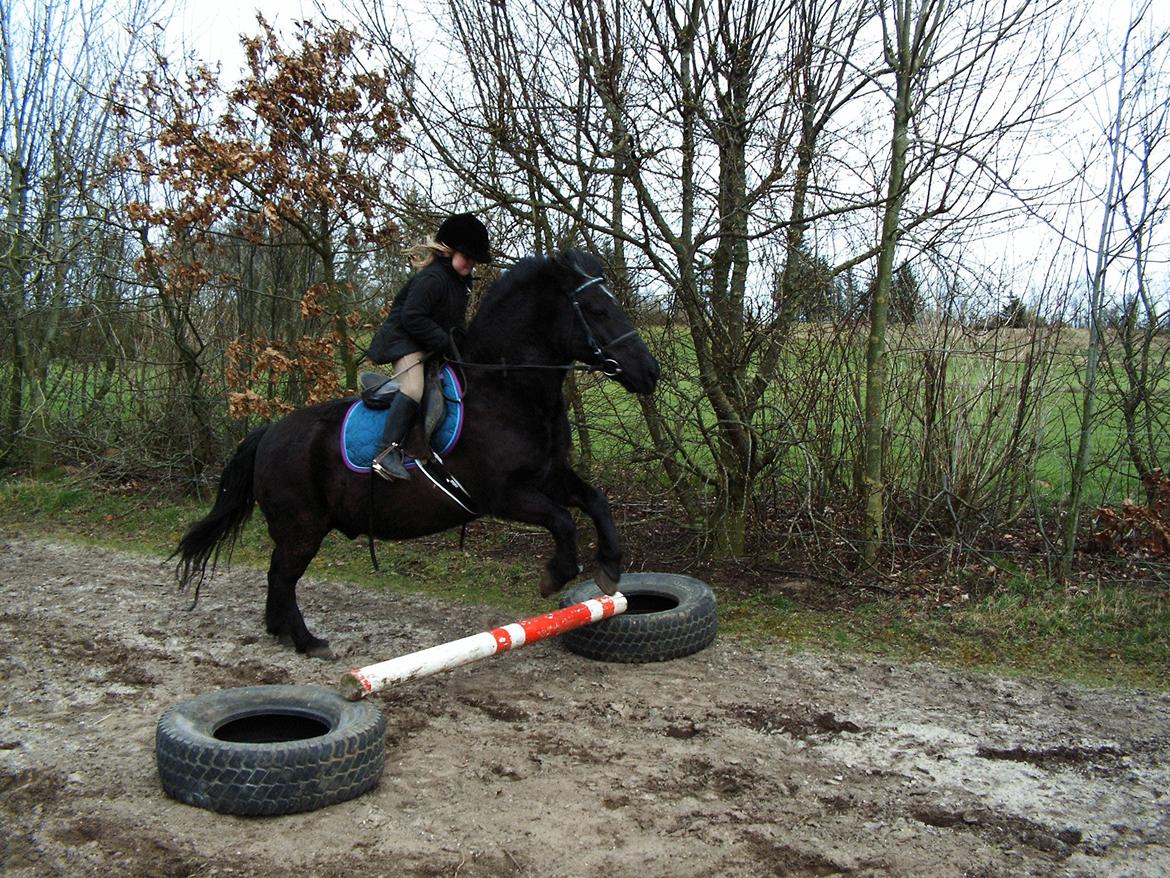 Anden særlig race Lukas - Første gang jeg springer på ham <3 billede 12