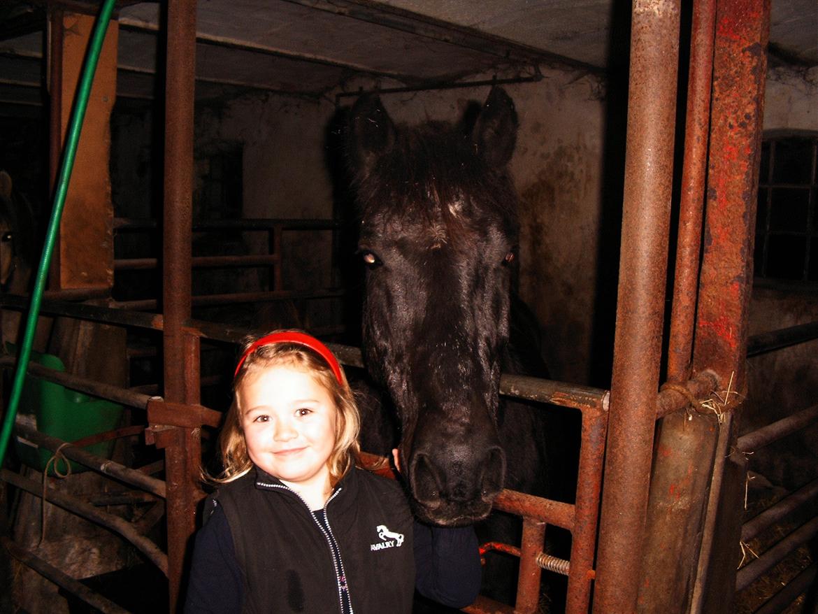 Anden særlig race Lukas - Den dag jeg fik Lukas i fødselsdags gave <3 billede 10