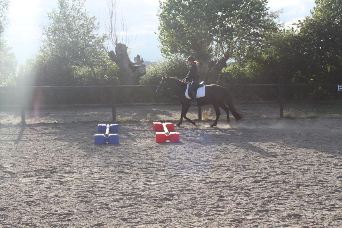 DSP Fiona billede 43