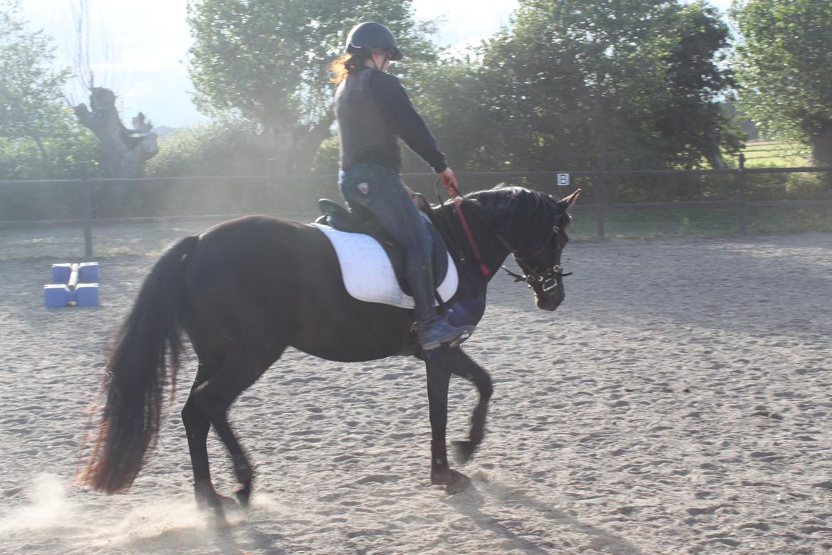 DSP Fiona billede 45