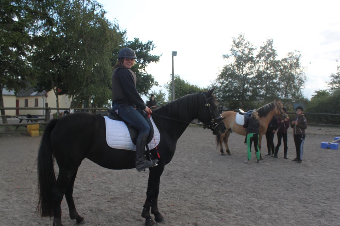 DSP Fiona billede 46