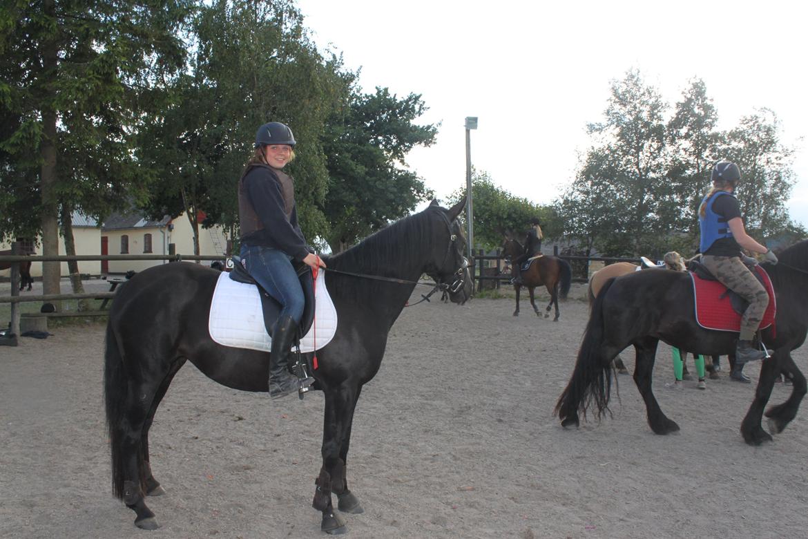 DSP Fiona billede 47