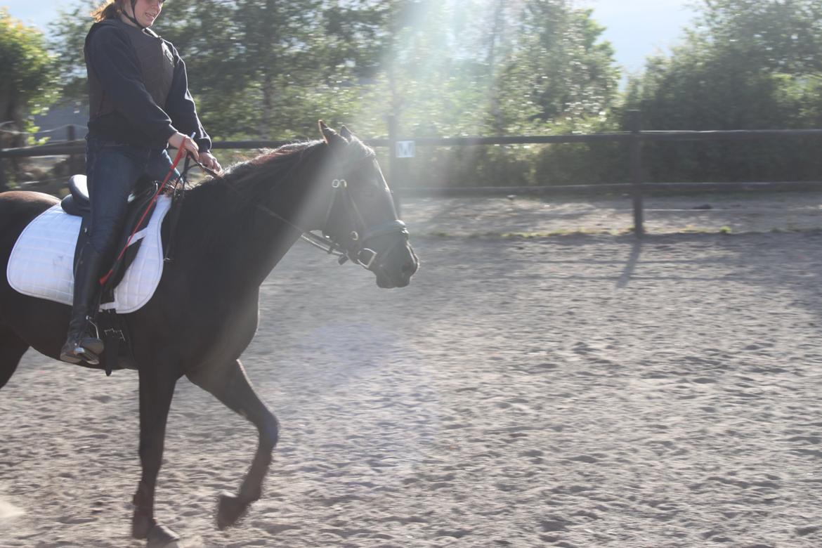 DSP Fiona billede 44