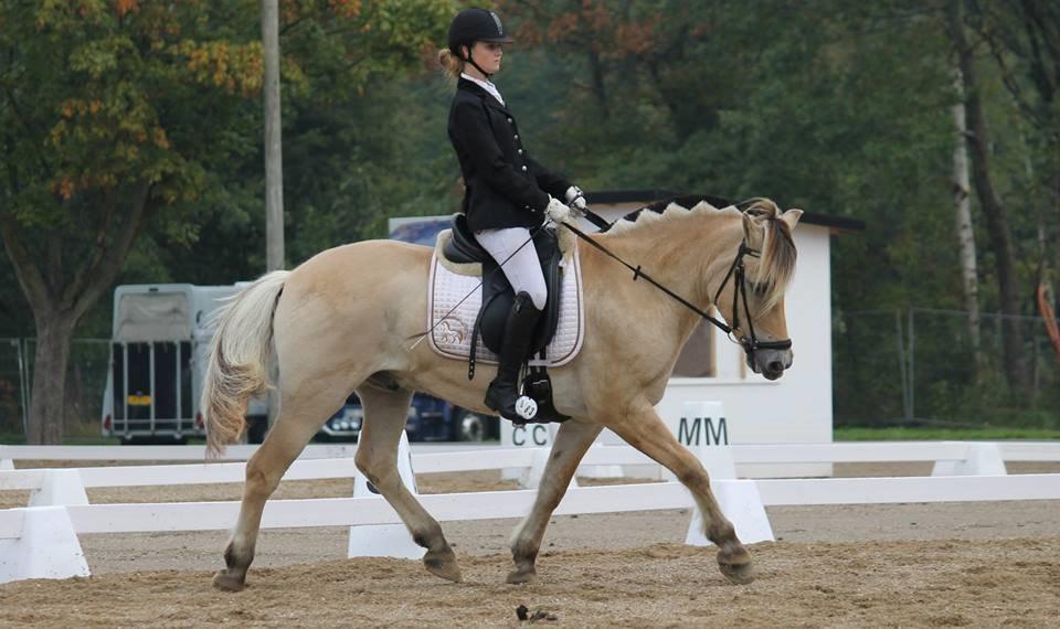 Fjordhest Thor Lysholm - Storehestedag hvor vi blev nummer 3 og nummer 5! billede 12
