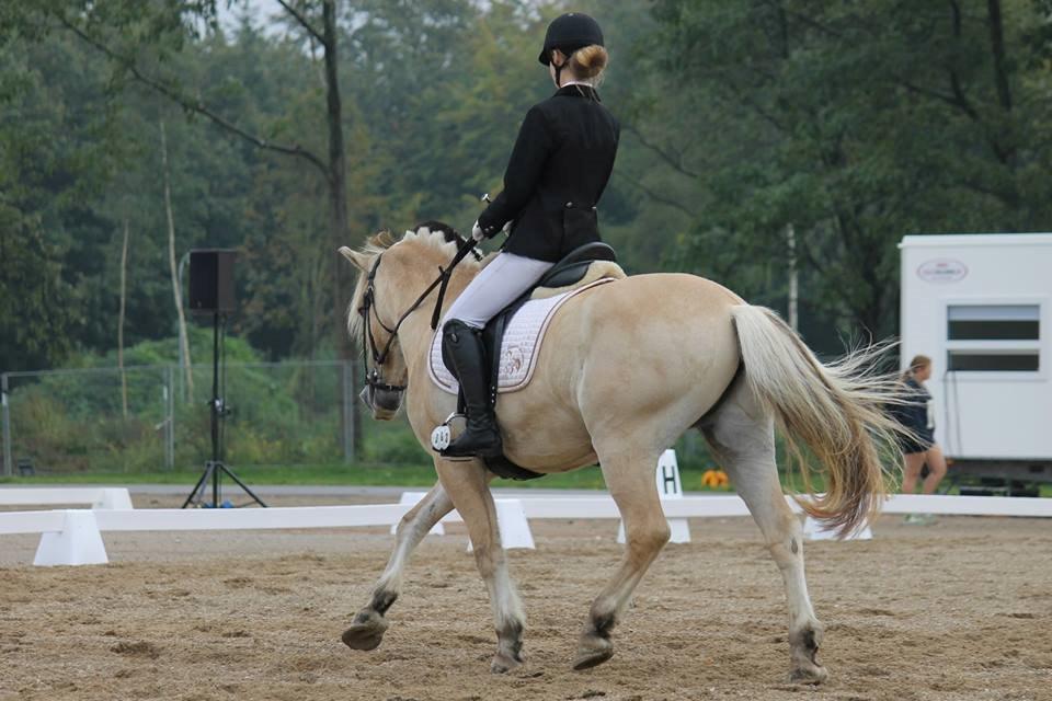 Fjordhest Thor Lysholm - Store hestedag, vi blev nummer 3 og nummer 5 ud af 19 ryttere:-) billede 1