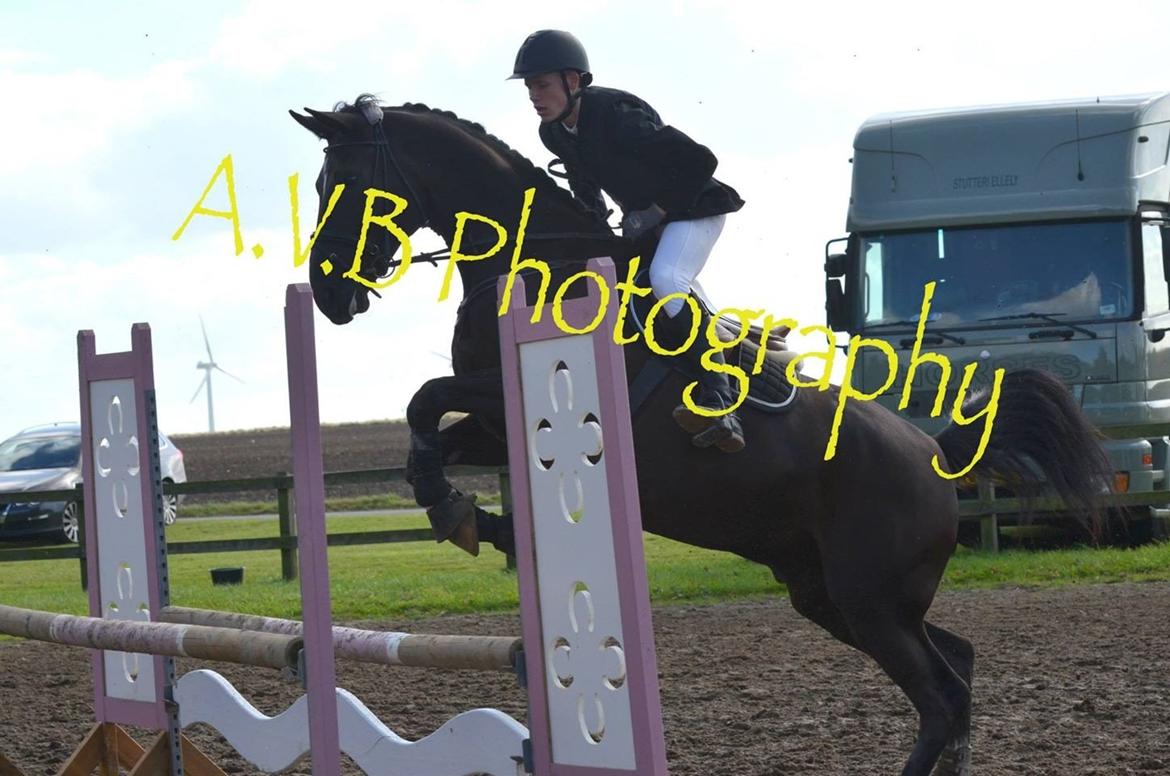 Oldenborg Overdrevsgårdens Mads billede 12