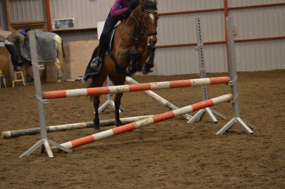 Pinto Symfoni Nyberg (Smølfen) billede 5