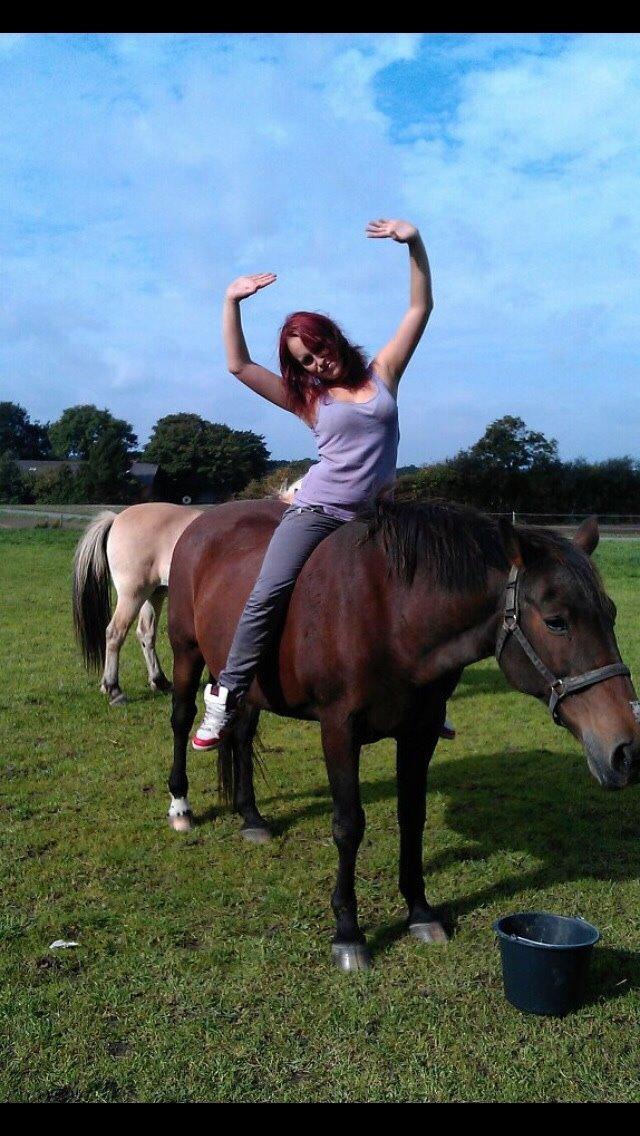 Anden særlig race bella R.I.P elskede hest billede 19