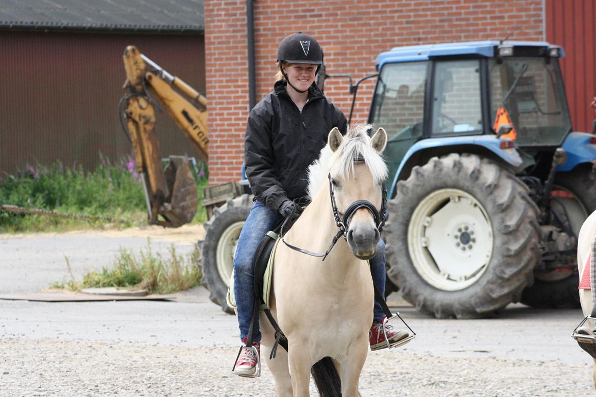 Fjordhest Bibi - Bibi og jeg :) billede 11