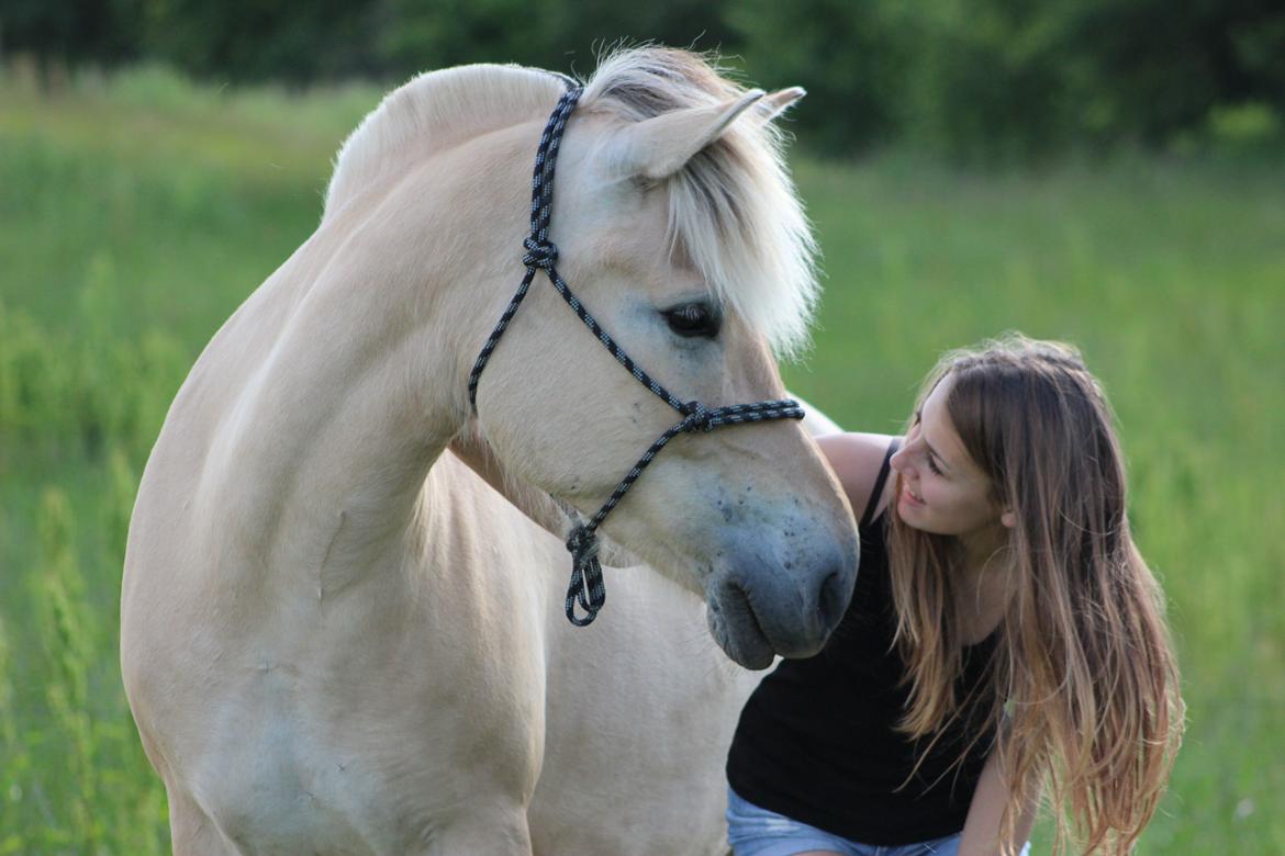 Fjordhest Bibi - Signe og Bibi 2012 billede 1