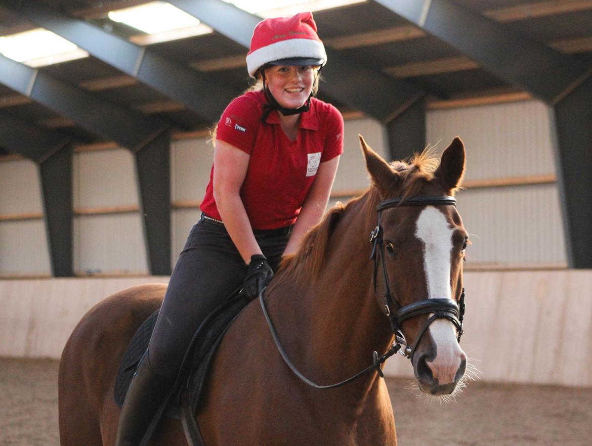 Dansk Varmblod Faberge - Pruuuhest <3 billede 17