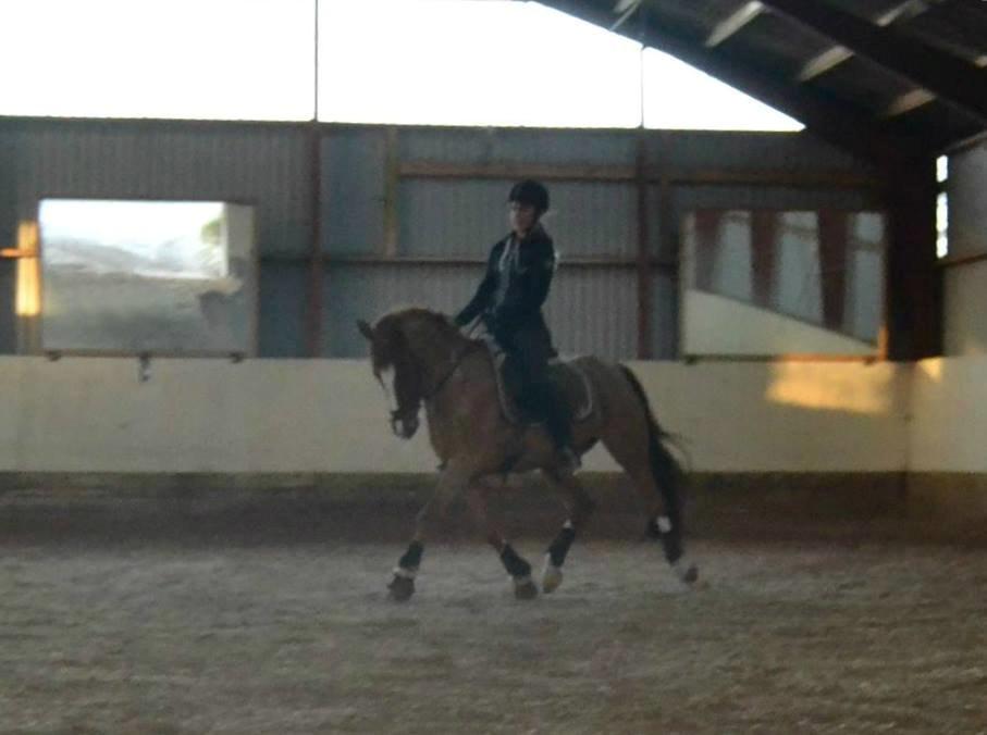 DSP Luanda billede 2