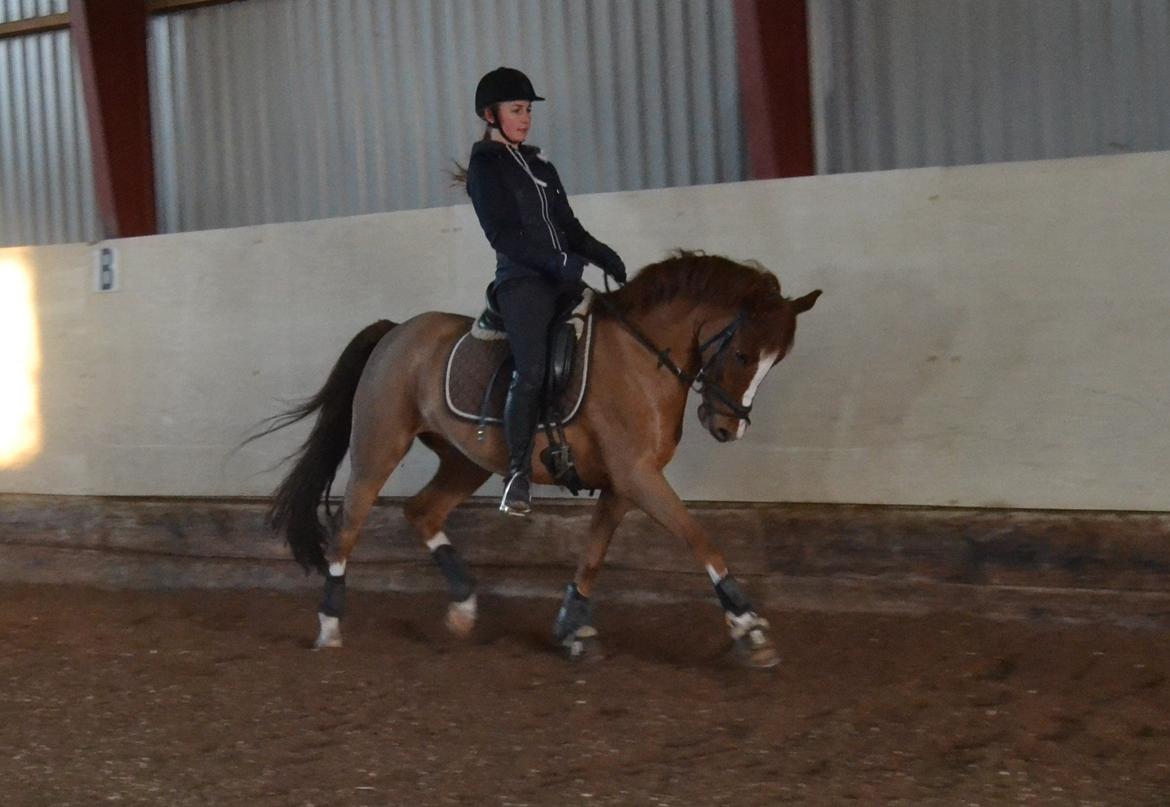 DSP Luanda billede 4