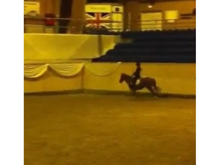 {{currentPhoto.altText}} billede {{currentPhoto.number}}